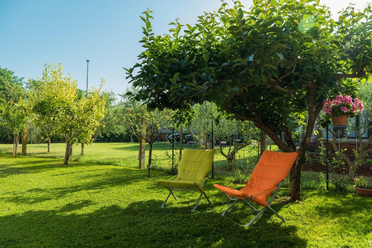 B&B Carmela Umag Exterior foto