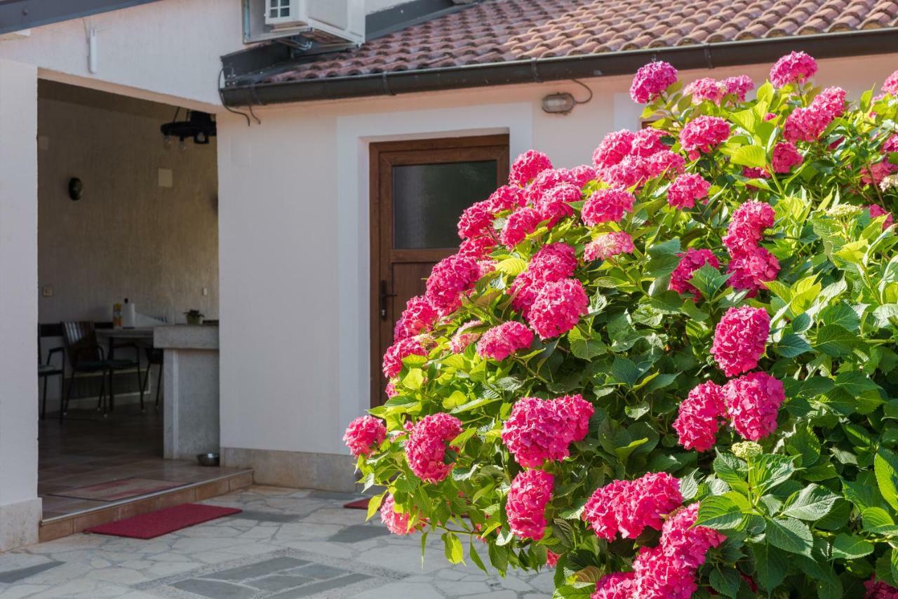 B&B Carmela Umag Exterior foto