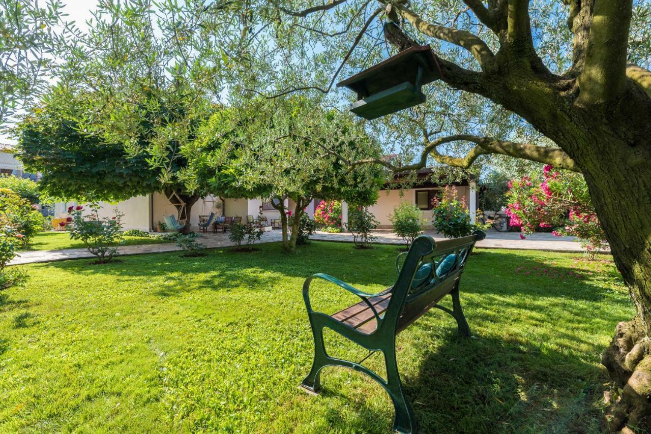 B&B Carmela Umag Exterior foto